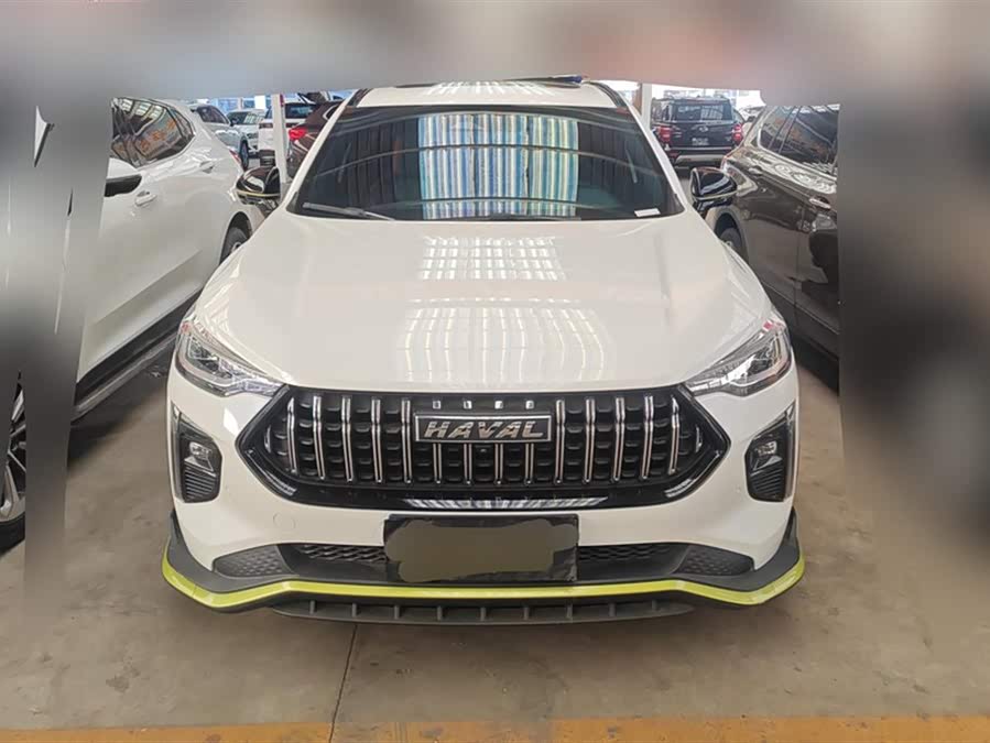 Haval Rabbit 2021 immagine di auto #3