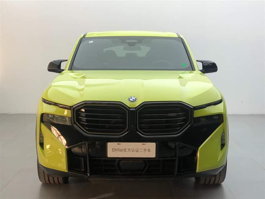 BMW XM imagem de carro #3