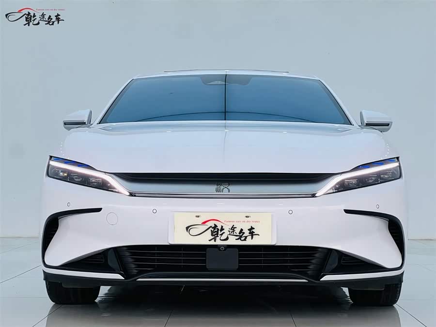 BYD Han 2022 immagine di auto #3