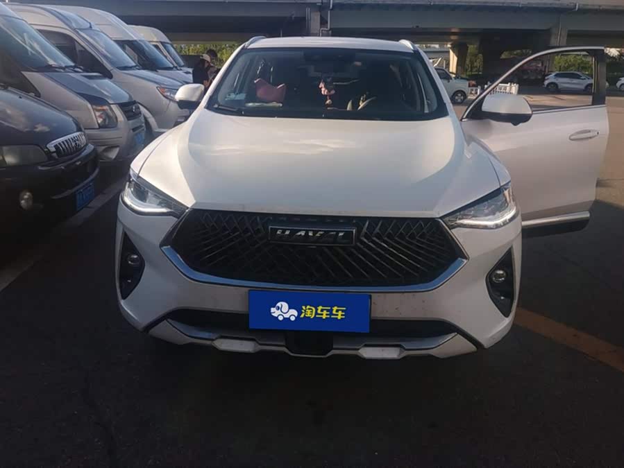 Haval F7x 2021 immagine di auto #3