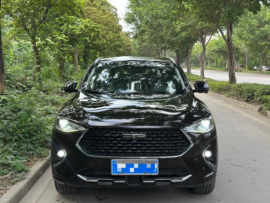Haval F7x 2019 #3 Haval F7x 2019 car image #3