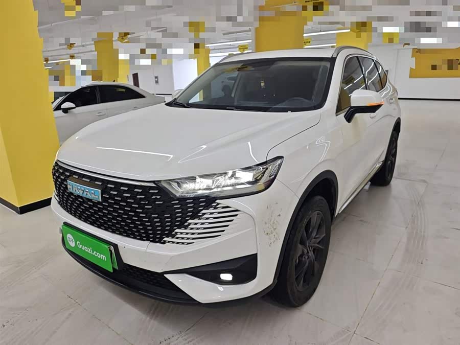 Haval H6 2022 immagine di auto #3