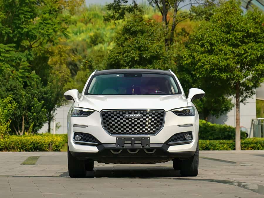 Haval F5 2018 car image #3