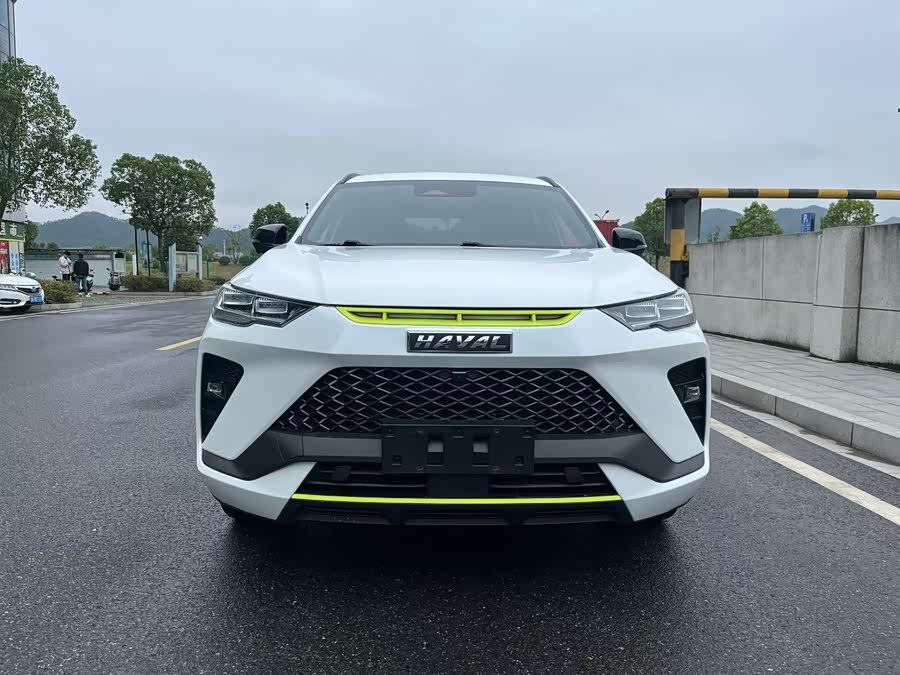 Haval H6S 2022 immagine di auto #3