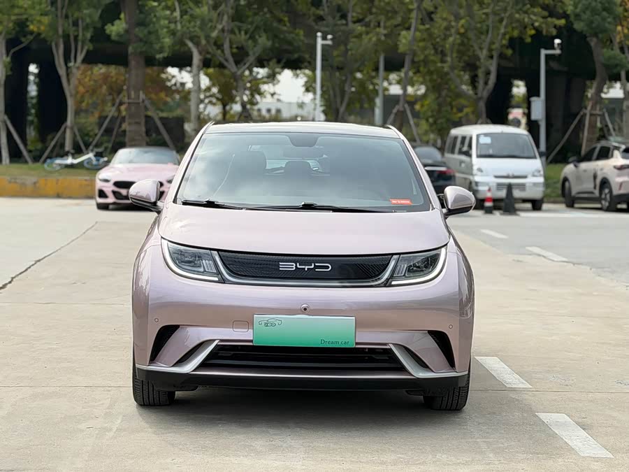 比亚迪 海豚 2023 汽车图片 #3