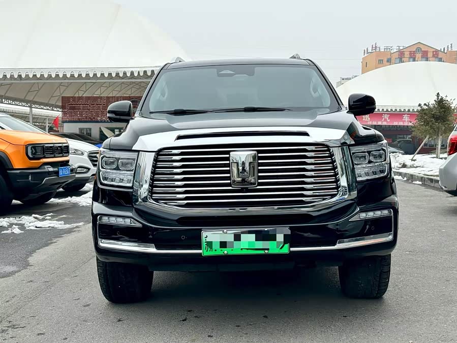 Tank 500 New Energy 2023 car image #3