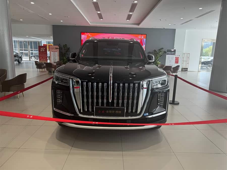 HongQi GuoYao car image #3