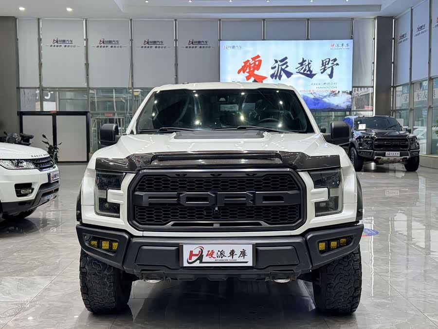 Ford F-150 Raptor 2016 car image #3