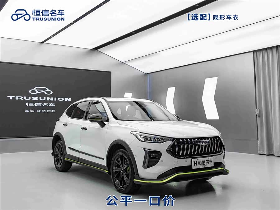 Haval Rabbit 2021 car image #3