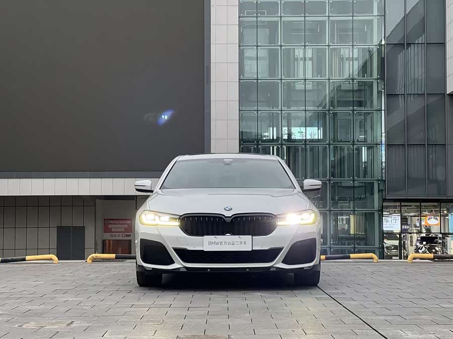 BMW 5 Series 2021 #3 BMW 5 Series 2021 car image #3