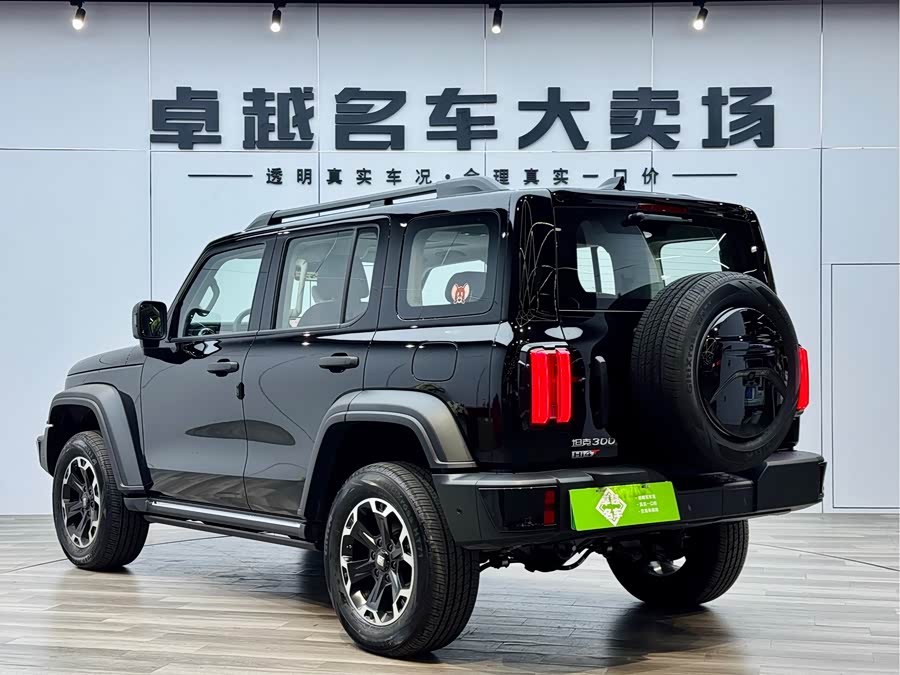 Tank 300 New Energy 2025 #3 Tank 300 New Energy 2025 immagine di auto #3