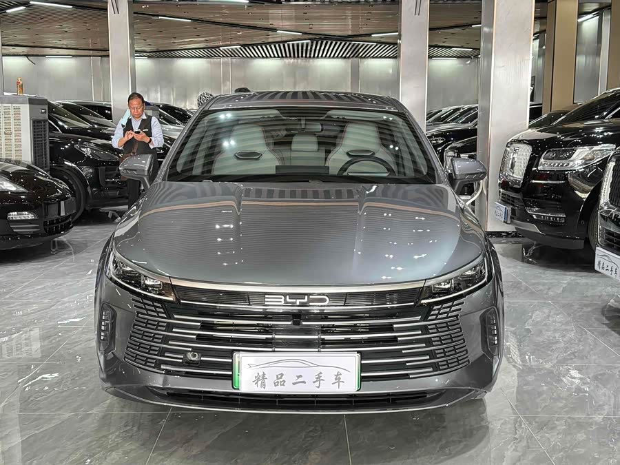 比亚迪 驱逐舰05 2023 汽车图片 #3