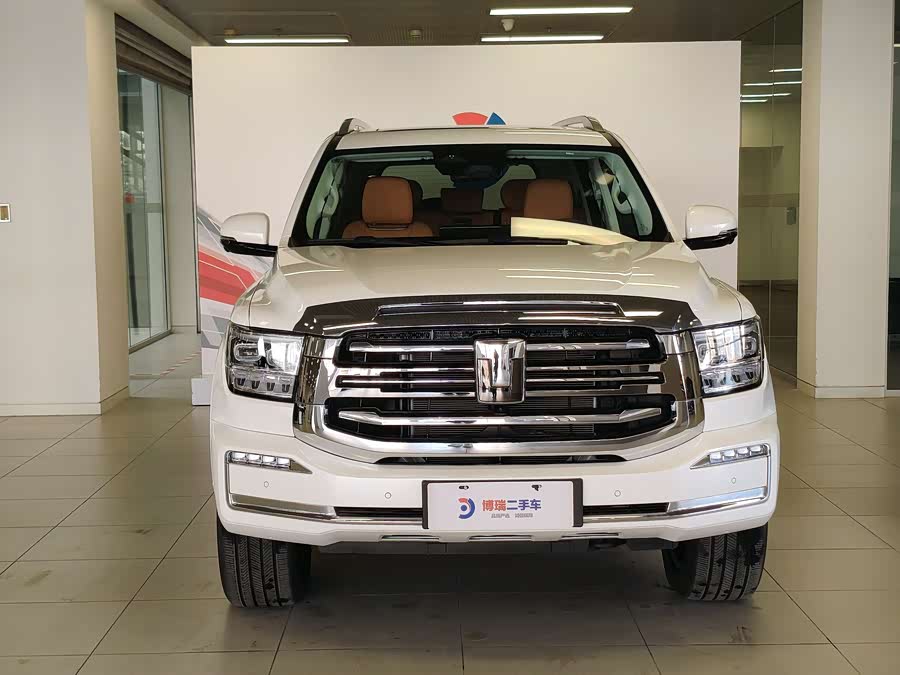 Tank 500 New Energy 2024 immagine di auto #3