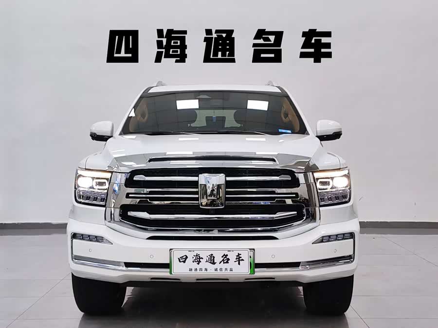 Tank 500 New Energy 2024 car image #3