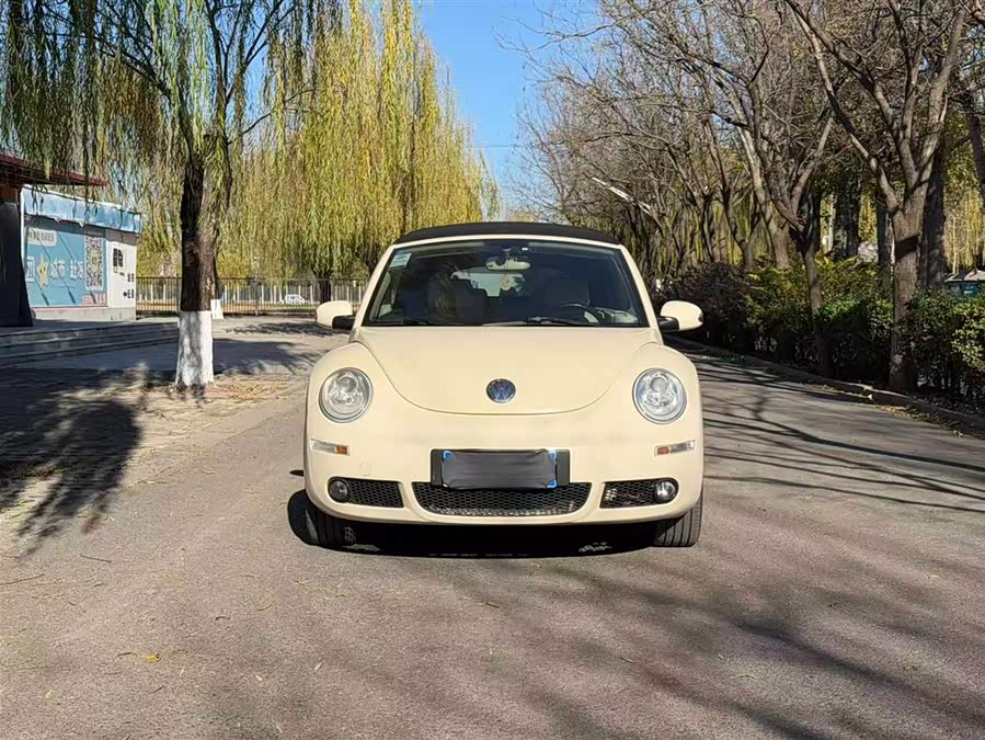 Volkswagen Beetle 2010 immagine di auto #3