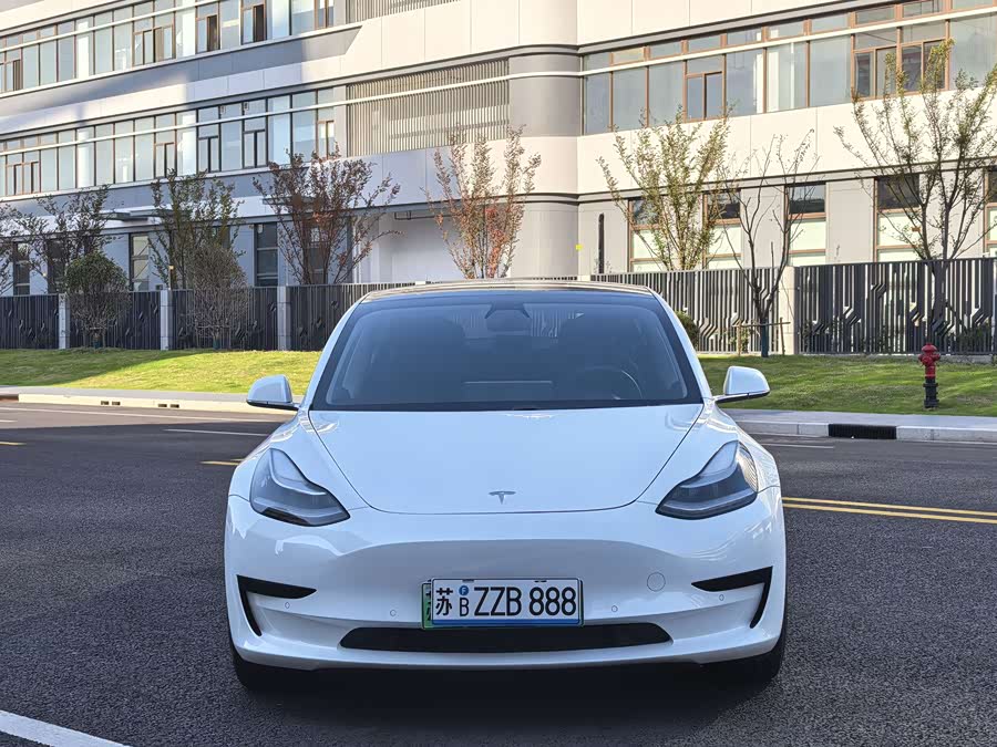 Tesla Model 3 2020 image de voiture #3