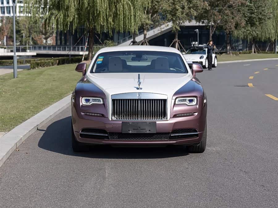Denza Wraith 2018 immagine di auto #3