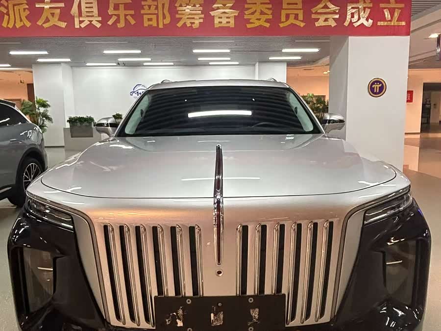 HongQi E-HS9 2023 image de voiture #3