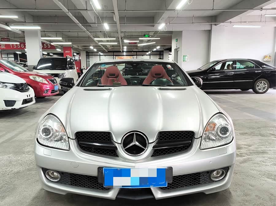 Mercedes-Benz SLK Class 2010 #3 Mercedes-Benz SLK Class 2010 car image #3