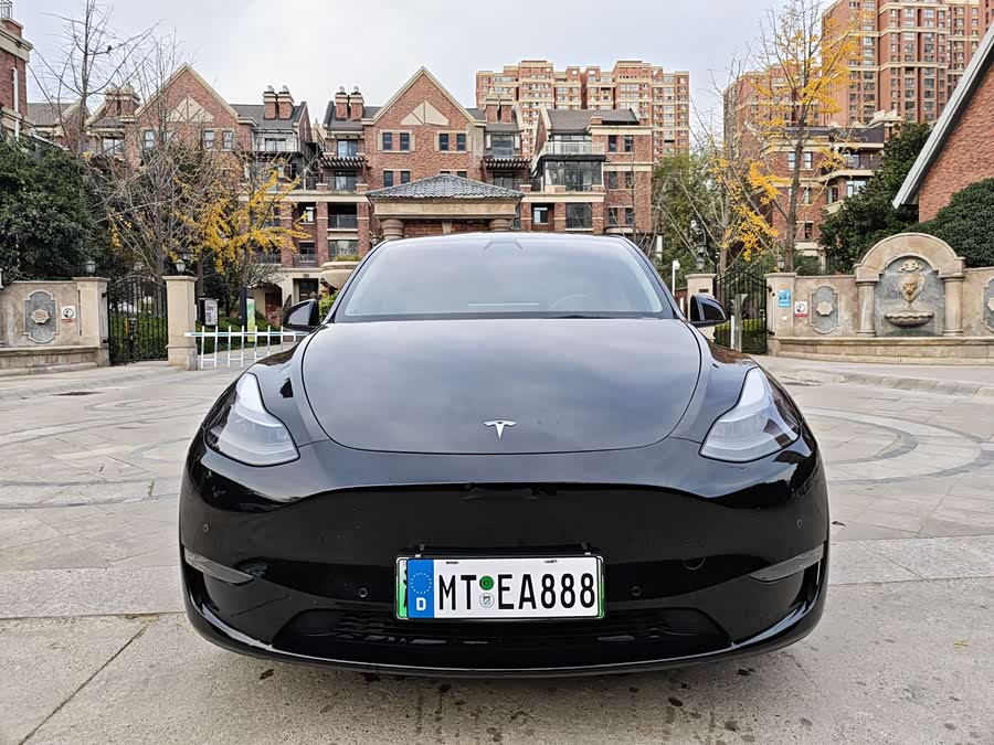 Tesla Model Y 2021 car image #3