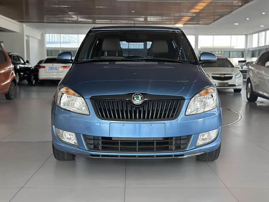 Skoda Fabia 2013 immagine di auto #3