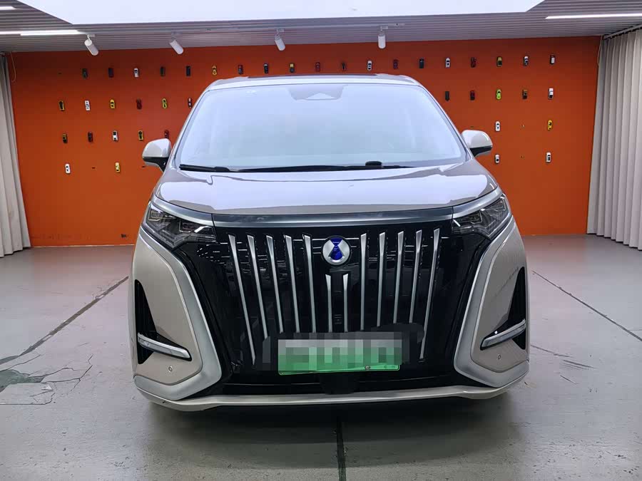 腾势 腾势D9 2023 汽车图片 #3