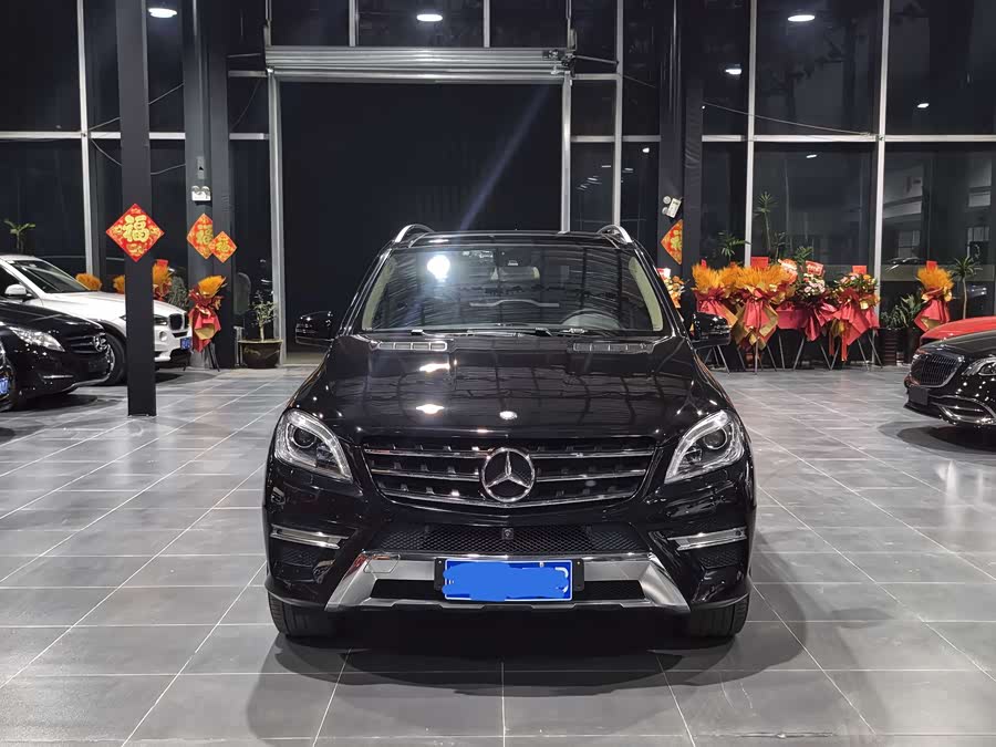 Mercedes-Benz M Class 2013 car image #3