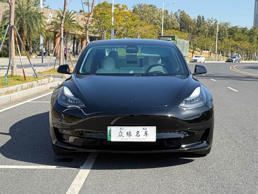 Tesla Model 3 2021 image de voiture #3