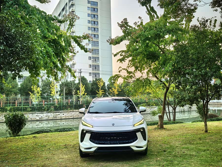 Forthing T5 EVO 2020 car image #3