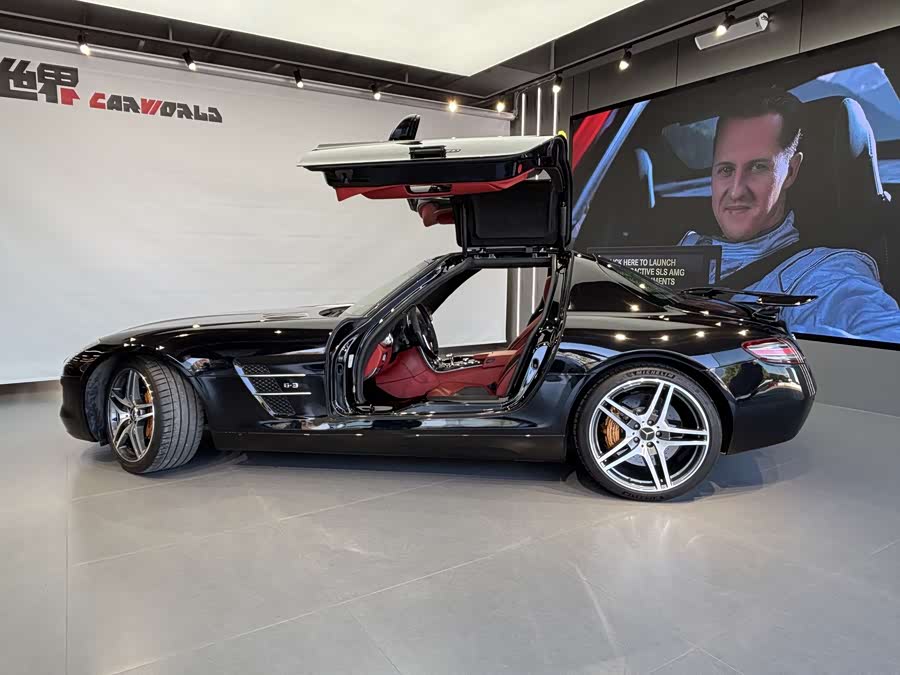 Mercedes-Benz SLS AMG 2010 #3 Mercedes-Benz SLS AMG 2010 صورة سيارة #3