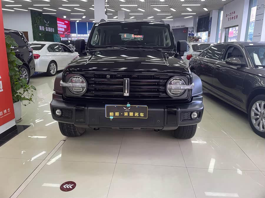 坦克 坦克300 2021 汽车图片 #3