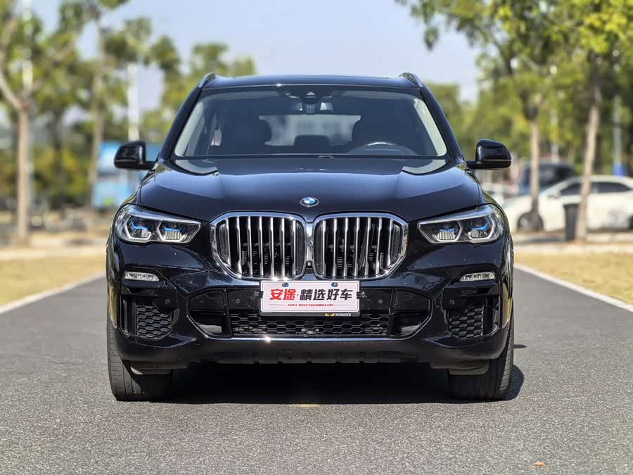 BMW X5 (Imported) 2019 immagine di auto #3