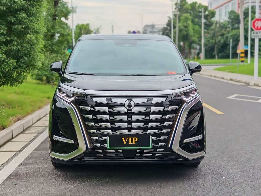 腾势 腾势D9 2023 汽车图片 #3