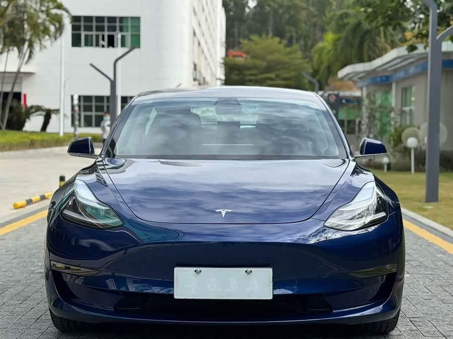 Tesla Model 3 2020 #3 Tesla Model 3 2020 صورة سيارة #3