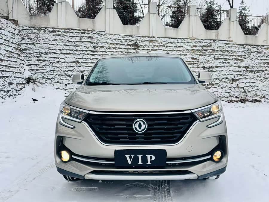 Forthing T5 2020 immagine di auto #3