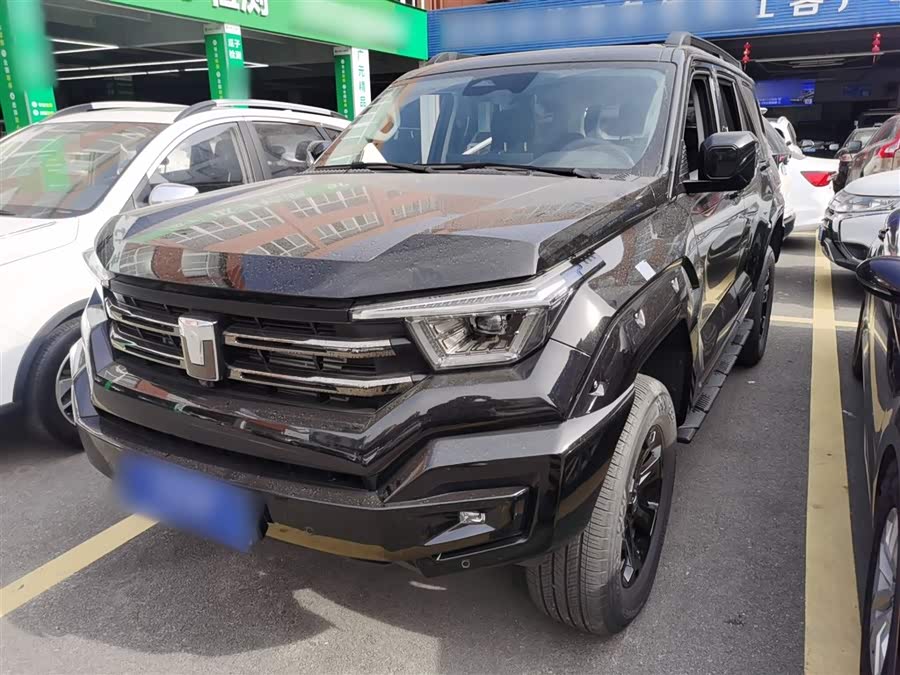 Tank 400 2024 imagen de coche #3