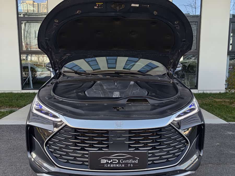 比亚迪 唐新能源 2024 汽车图片 #3