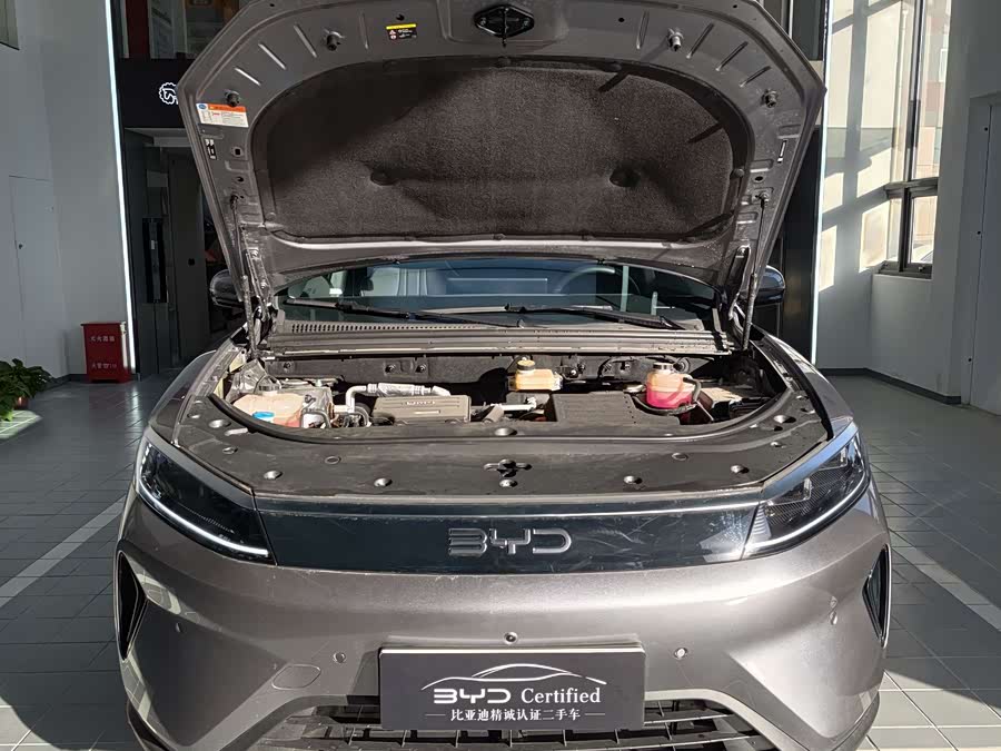 BYD Sea Lion 05 DM-i 2025 car image #3