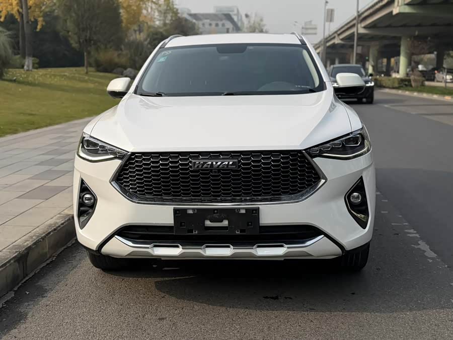 Haval F7 2019 image de voiture #3