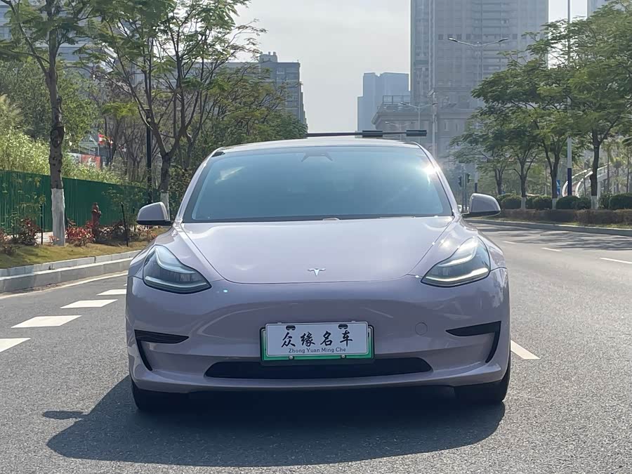 Tesla Model 3 2020 image de voiture #3