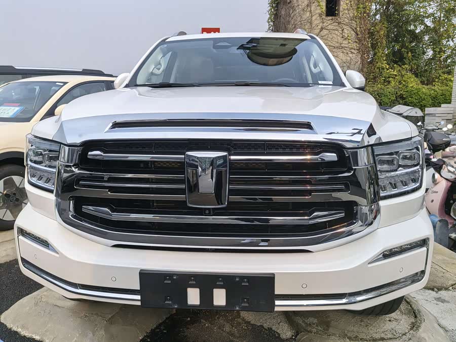 Tank 500 New Energy 2024 immagine di auto #3