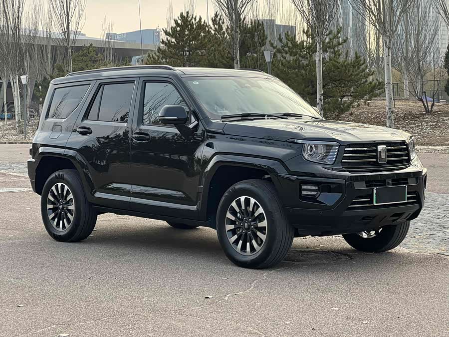 Tank 700 New Energy 2025 immagine di auto #3