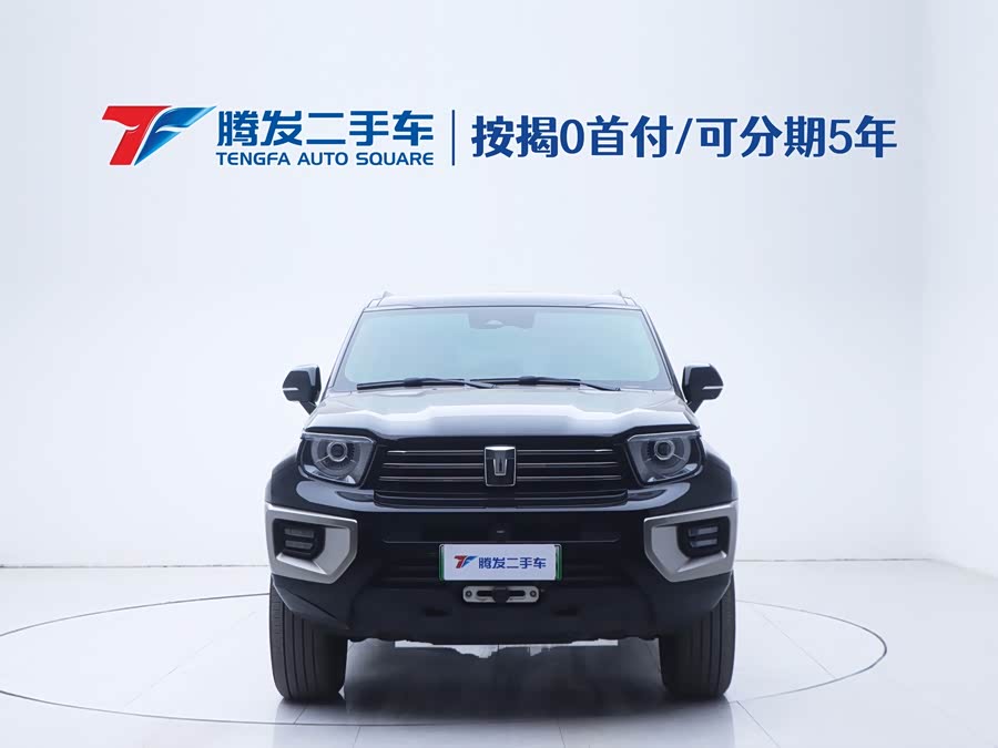 Tank 700 New Energy 2024 #3 Tank 700 New Energy 2024 immagine di auto #3