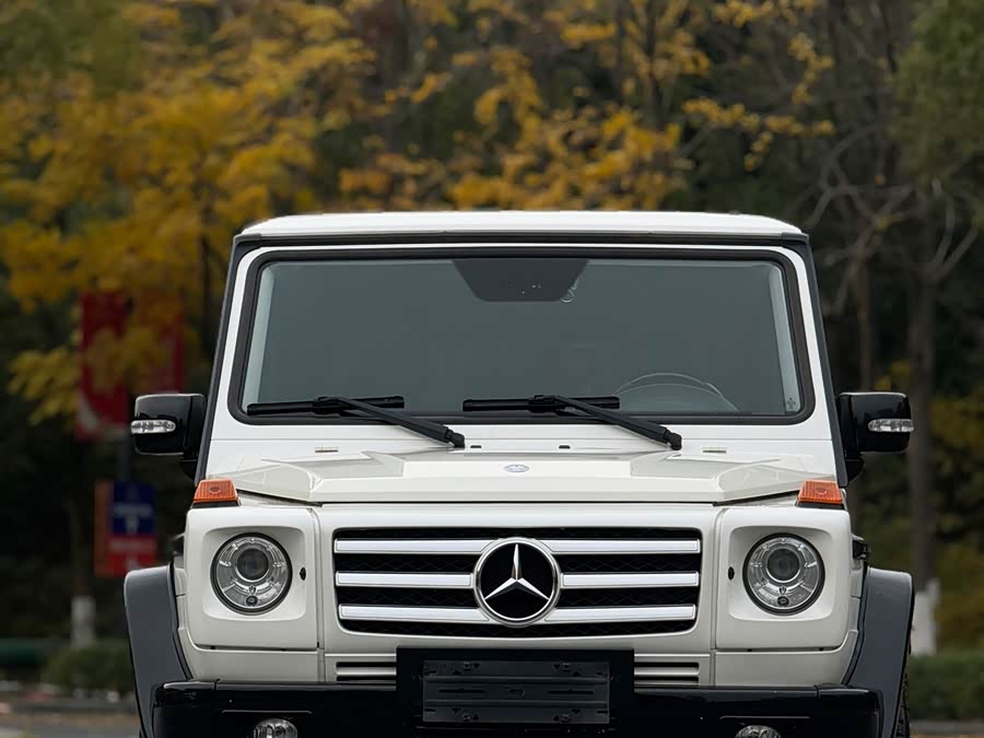 Mercedes-Benz G Class 2013 #3 Mercedes-Benz G Class 2013 immagine di auto #3
