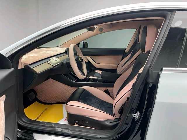 Tesla Model 3 2020 #3 Tesla Model 3 2020 car image #3