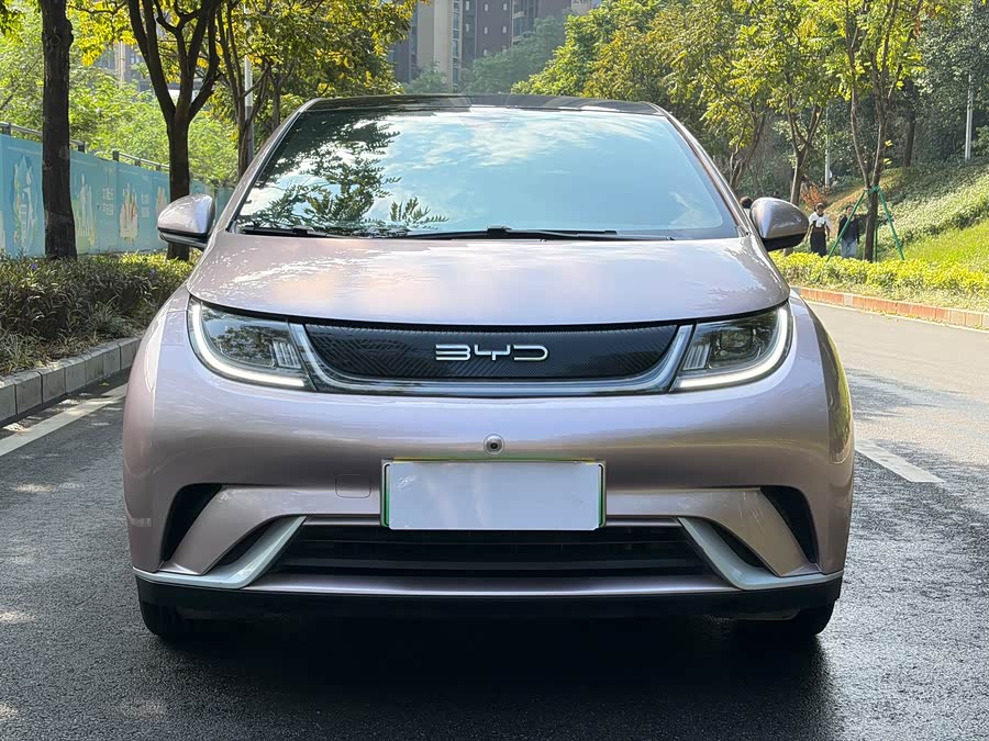 比亚迪 海豚 2022 汽车图片 #3