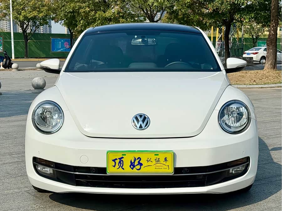 Volkswagen Beetle 2013 immagine di auto #3