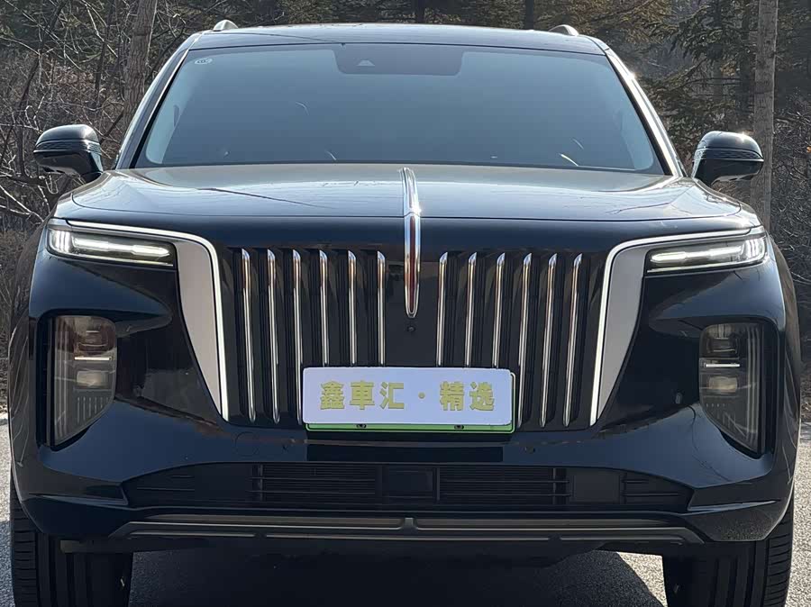 HongQi E-HS9 2023 صورة سيارة #3