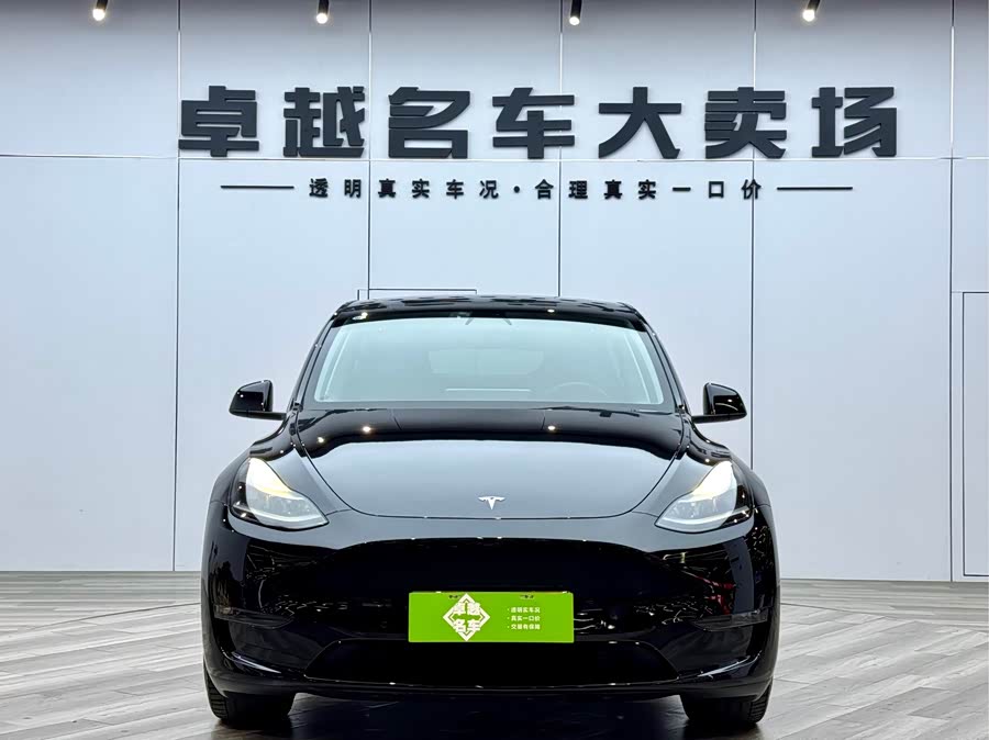 Tesla Model Y 2021 #3 Tesla Model Y 2021 car image #3