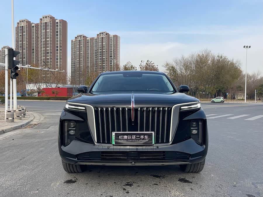 HongQi E-HS9 2023 изображение автомобиля #3